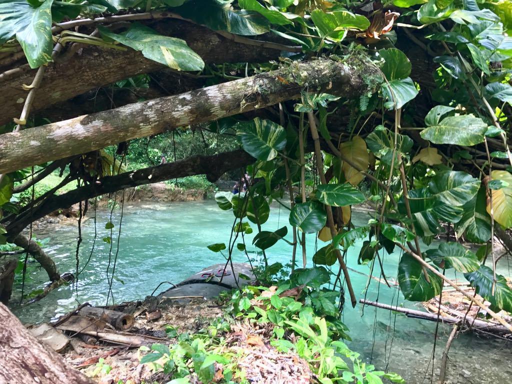 Nature In Portland Port Antonio Exterior foto